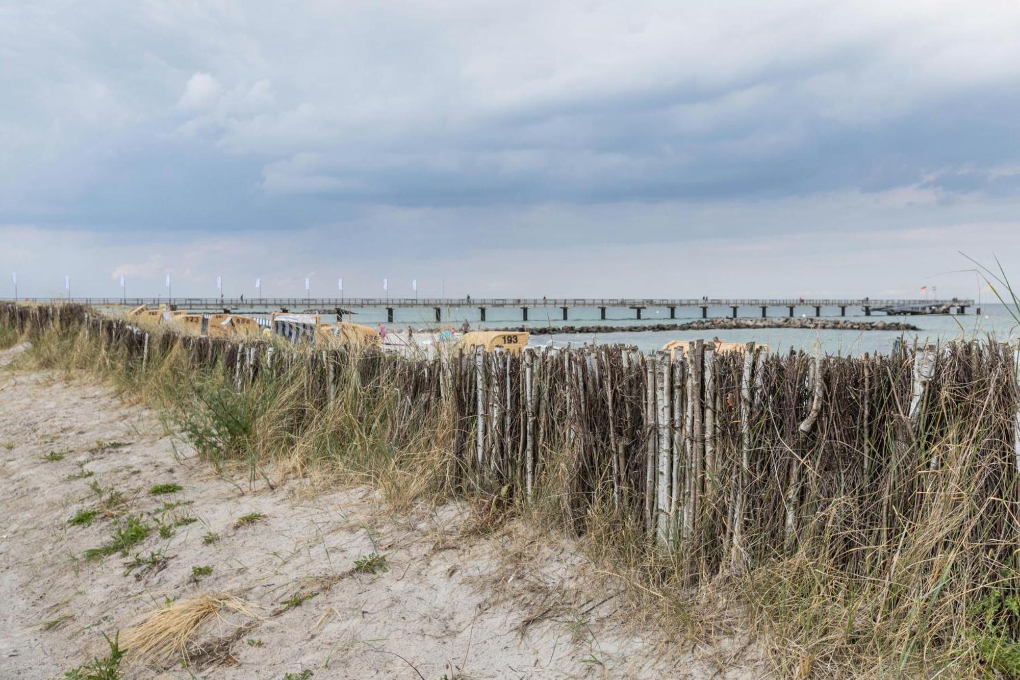Treibholz - Feriendomizil Ostsee Schonberger Strand Exteriör bild